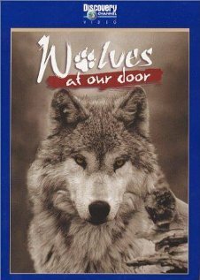 Постер Discovery: Волки