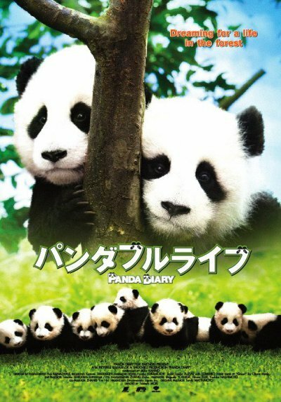 Постер Дневник панды