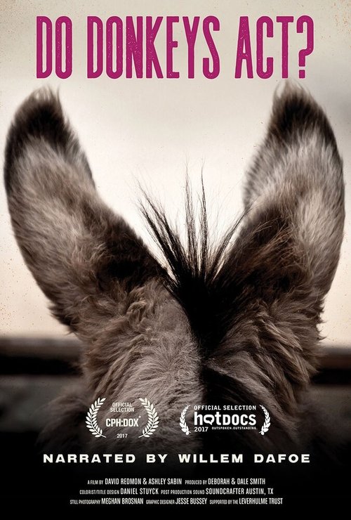 Постер Do Donkeys Act?