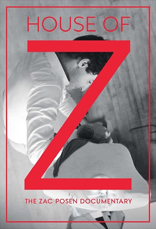 Постер Дом Z