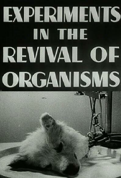 Постер Эксперименты по оживлению организмов