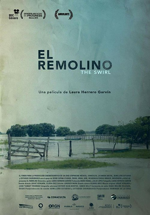 El Remolino скачать фильм торрент