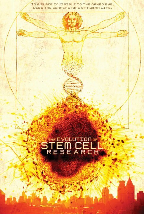 Постер Эволюция исследований стволовых клеток