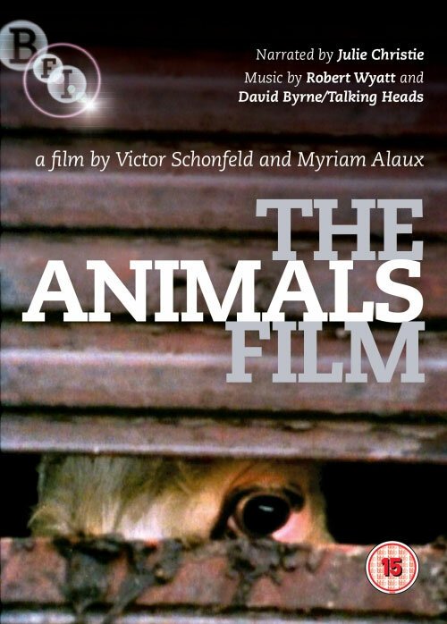 Постер Фильм животных