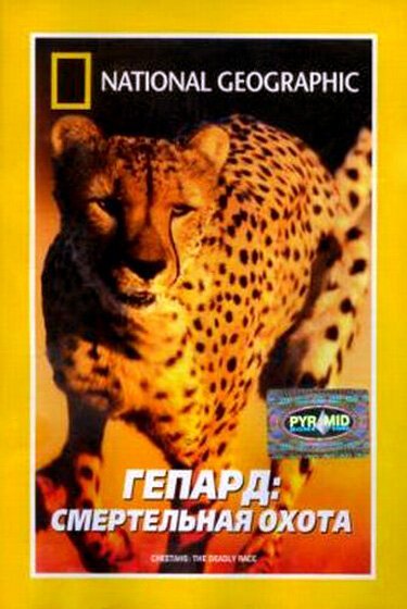 Постер Гепард: Смертельная охота