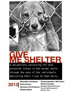 Постер Give Me Shelter