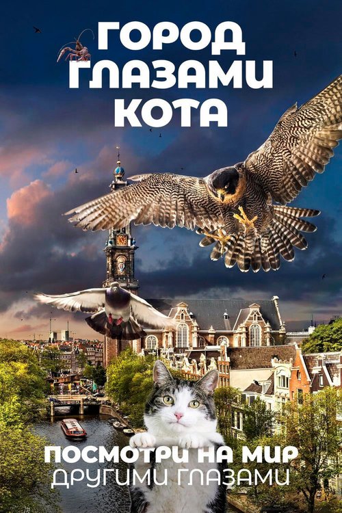 Постер Город глазами кота