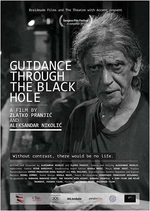 Постер Guidance through the Black Hole