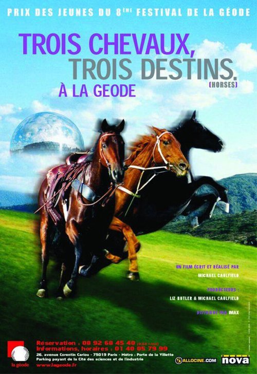 Постер Horses: The Story of Equus