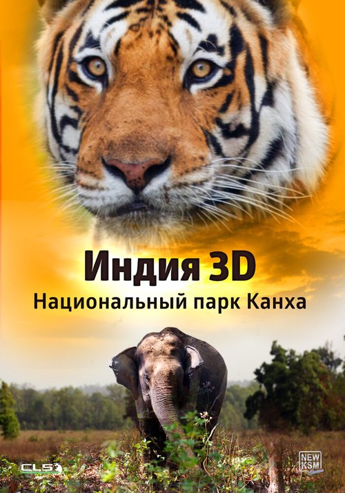 Постер Индия 3D: Национальный парк Канха