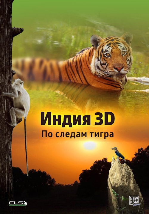 Постер Индия 3D: По следам тигра