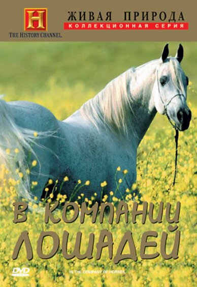 Постер Исторические исследования: В компании лошадей