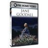 Постер Jane Goodall: Reason for Hope