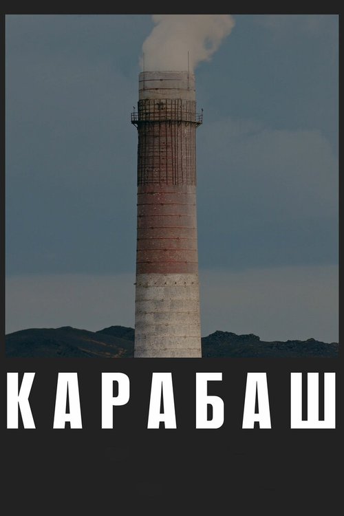 Постер Карабаш