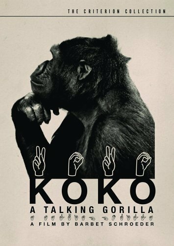 Коко, говорящая горилла скачать фильм торрент