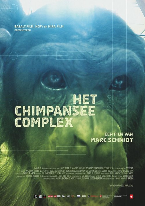 Постер Комплекс шимпанзе