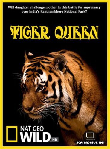 Постер Королева тигров