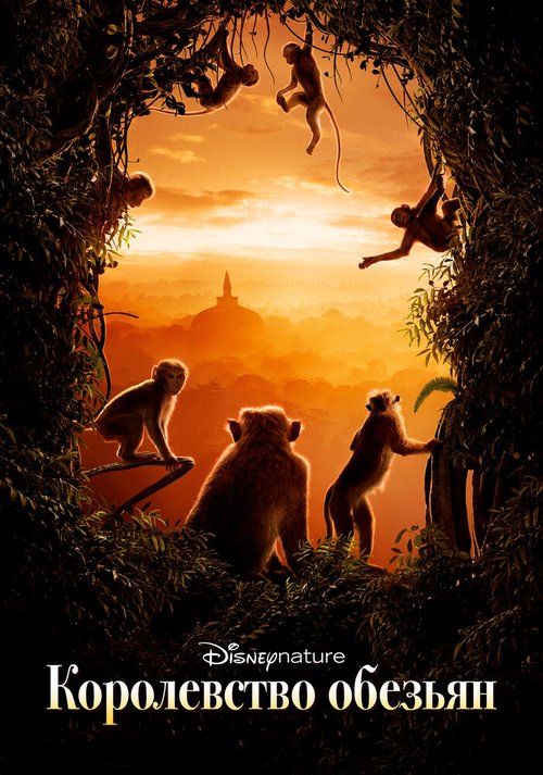Постер Королевство обезьян