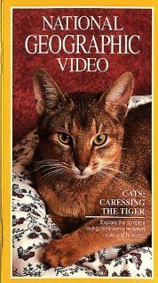 Постер Кошки: Ласковые тигры