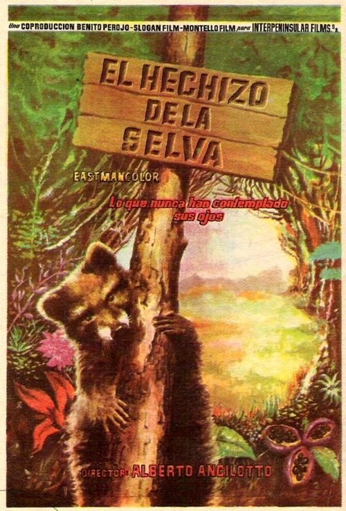 Постер L'incanto della foresta