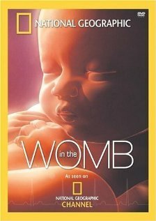 Постер Life Before Birth