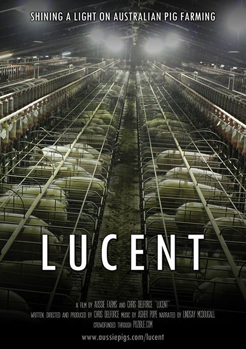 Постер Lucent