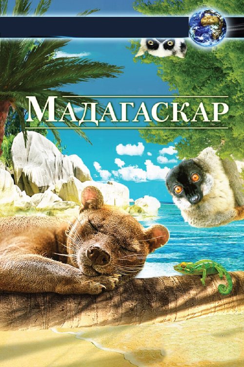 Постер Мадагаскар 3D