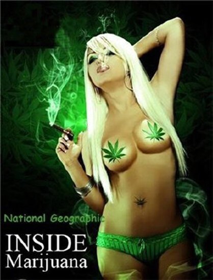 Постер Marijuana Inc: Inside America's Pot Industry