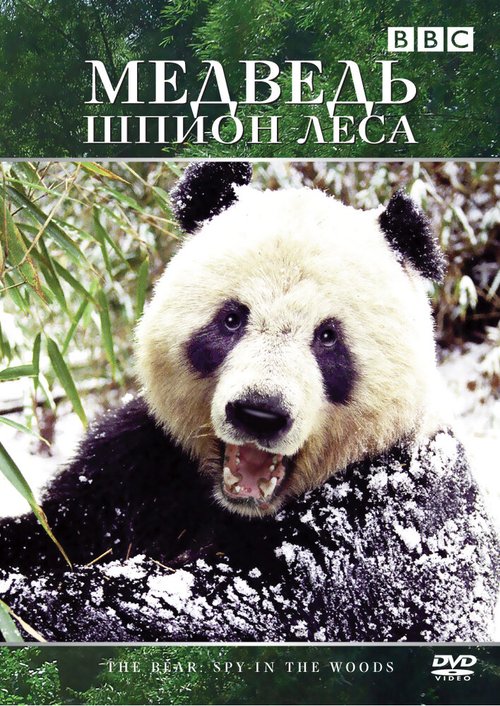 Медведь: Шпион леса скачать фильм торрент