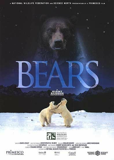 Постер Медведи
