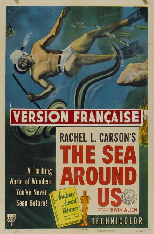 Постер Море вокруг нас