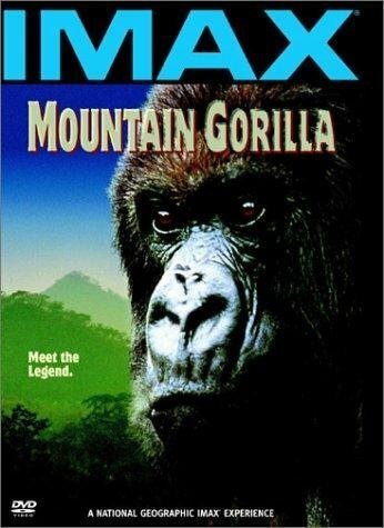 Постер Mountain Gorilla