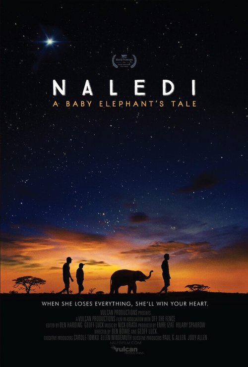 Naledi: A Baby Elephant's Tale скачать фильм торрент