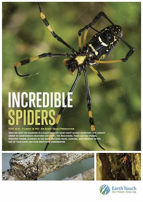 Постер Невероятные пауки