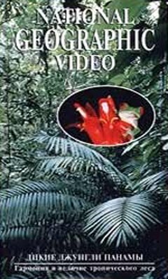 Постер НГО: Дикие джунгли Панамы