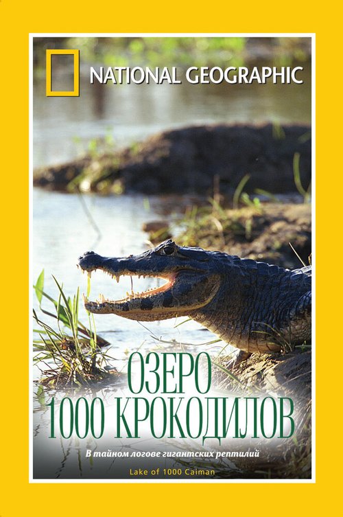 Постер НГО: Озеро 1000 крокодилов