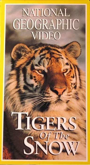 НГО: Сибирские тигры скачать фильм торрент