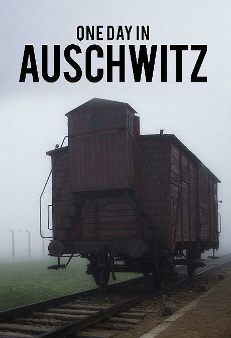 Постер Один день в Освенциме
