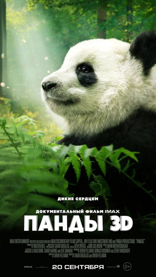 Постер Панды 3D
