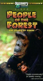Постер People of the Forest: The Chimps of Gombe