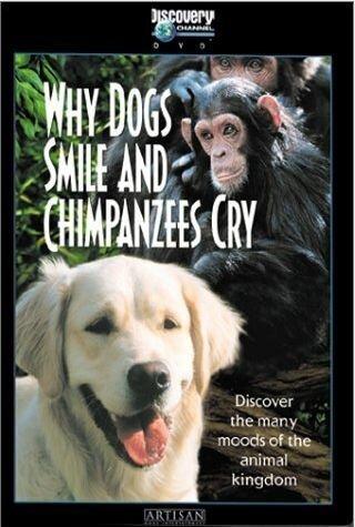 Постер Почему собаки улыбаются и шимпанзе плачут