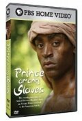 Постер Prince Among Slaves