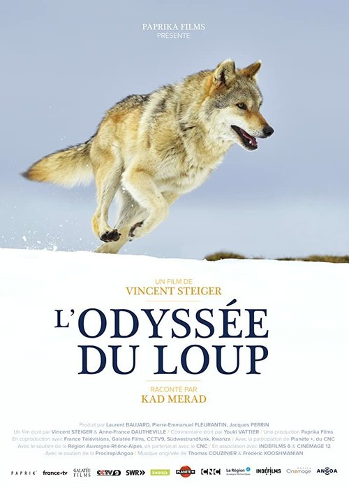 Постер Путешествие волка