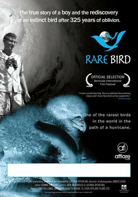 Постер Rare Bird