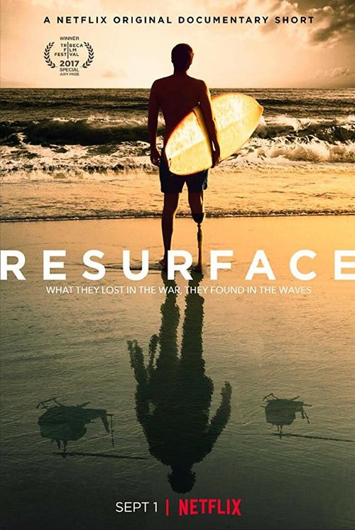 Постер Resurface