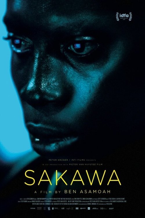 Постер Сакава