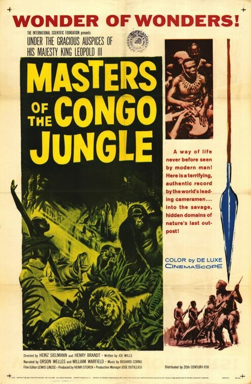 Постер Саванна и джунгли