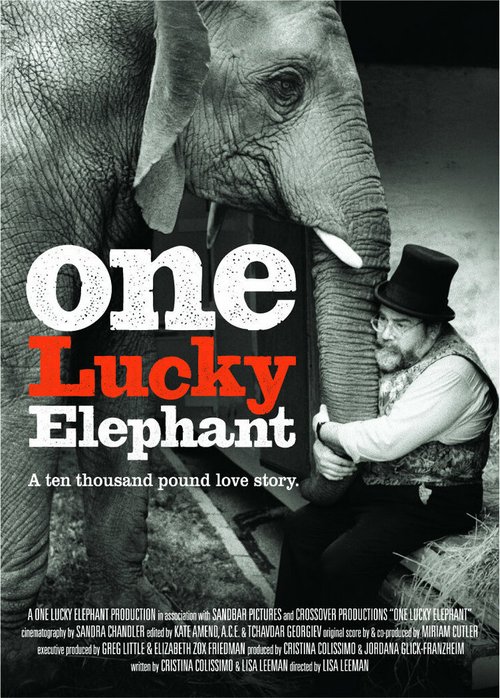 Постер Счастливая слониха