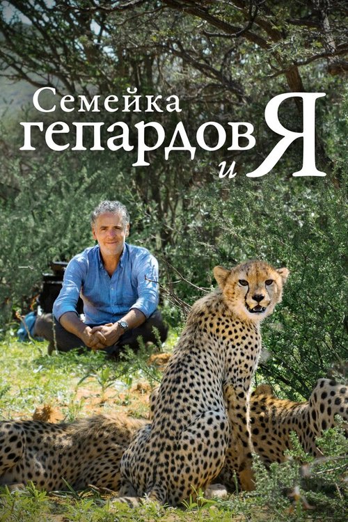 Постер Семейка гепардов и я