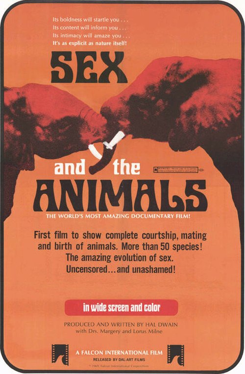 Постер Sex and the Animals